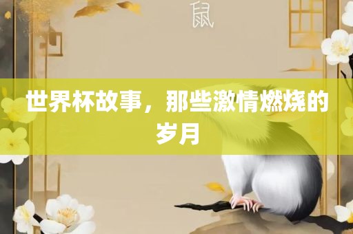 世界杯故事，那些激情燃烧的岁月