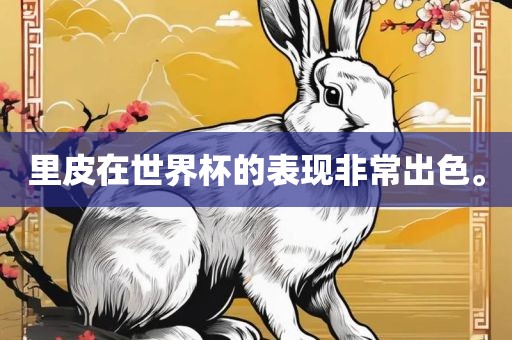 里皮在世界杯的表现非常出色。