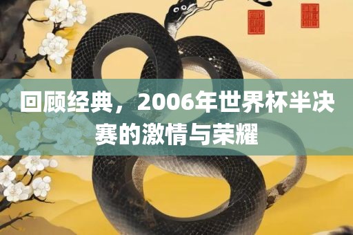 回顾经典，2006年世界杯半决赛的激情与荣耀