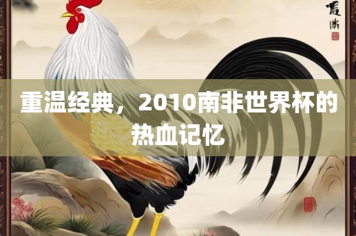 重温经典，2010南非世界杯的热血记忆