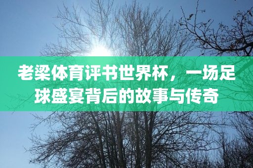 老梁体育评书世界杯，一场足球盛宴背后的故事与传奇