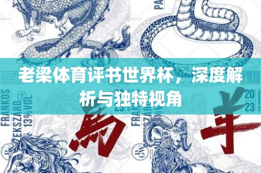 老梁体育评书世界杯，深度解析与独特视角