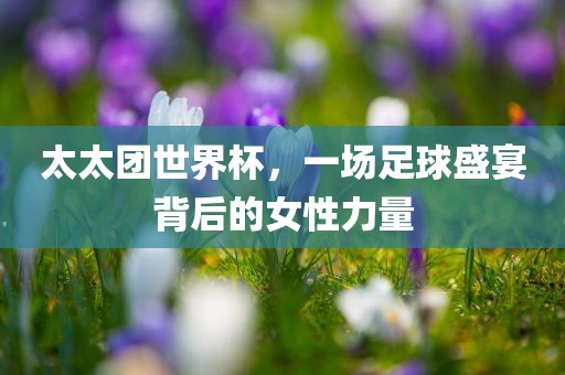 太太团世界杯，一场足球盛宴背后的女性力量