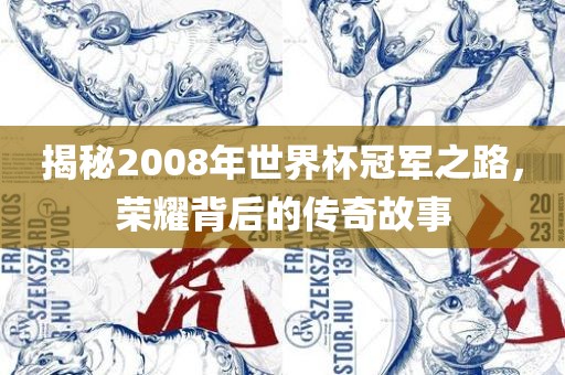 揭秘2008年世界杯冠军之路，荣耀背后的传奇故事