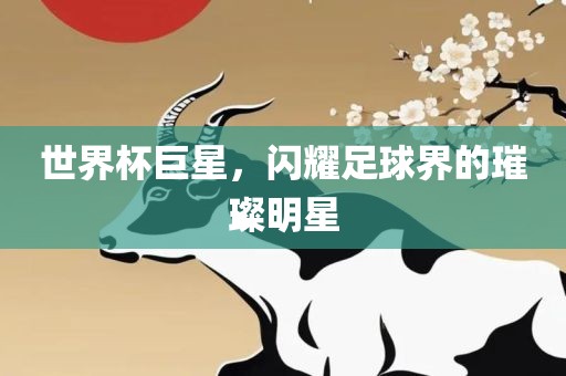 世界杯巨星，闪耀足球界的璀璨明星