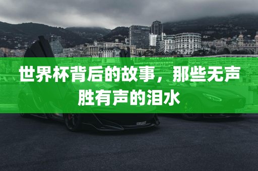 世界杯背后的漯河市盈旭机械设备有限公司故事，那些无声胜有声的泪水