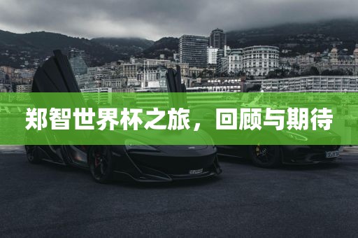 郑智世界杯之旅，回顾与期待