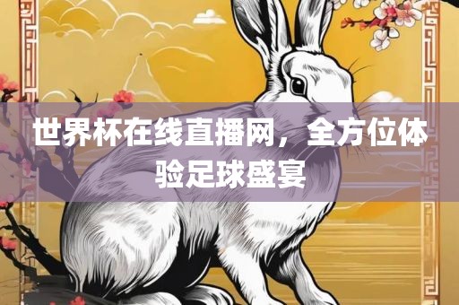 世界杯在线直播网，全方位体验足球盛宴