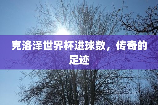 克洛泽世界杯进球数，传奇的足迹
