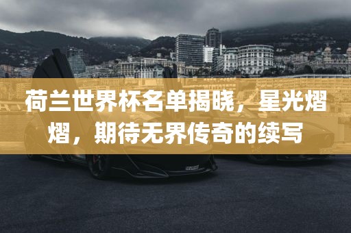 荷兰世界杯名单揭晓，星光熠熠，期待无界传奇的续写