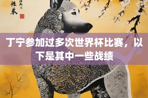 丁宁参加过多次世界杯比赛，以下是其中一些战绩