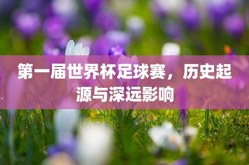 第一届世界杯足球赛，历史起源与深远影响漯河市盈旭机械设备有限公司