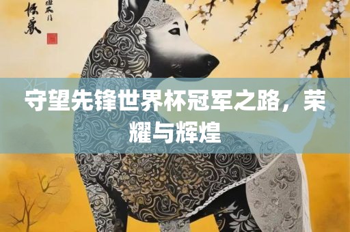 守望先锋世界杯冠军之路，荣耀与辉煌