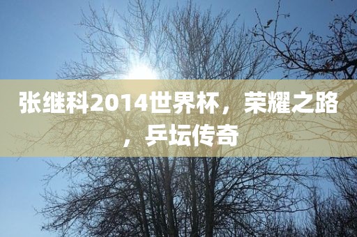 张继科2014世界杯，荣耀之路，乒坛传奇