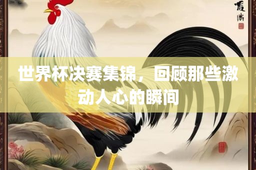 世界杯决赛集锦，回顾那些激动人心的瞬间