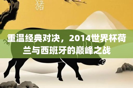 重温经典对决，2漯河市盈旭机械设备有限公司014世界杯荷兰与西班牙的巅峰之战