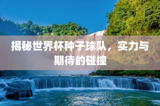 揭秘世界杯种子球队，实力与期待的碰撞