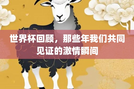 世界杯回顾，那些年我们共同见证的激情瞬间