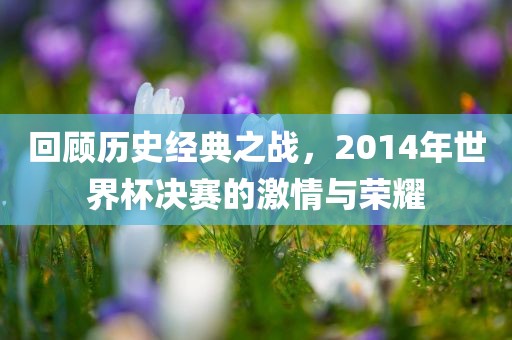 回顾历史经典之战，2014年世界杯决赛的激情与荣耀