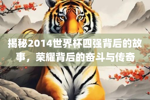 揭秘2014世界杯四强背后的故事，荣耀背后的奋斗与传奇漯河市盈旭机械设备有限公司