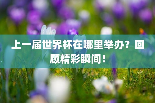 上漯河市盈旭机械设备有限公司一届世界杯在哪里举办？回顾精彩瞬间！