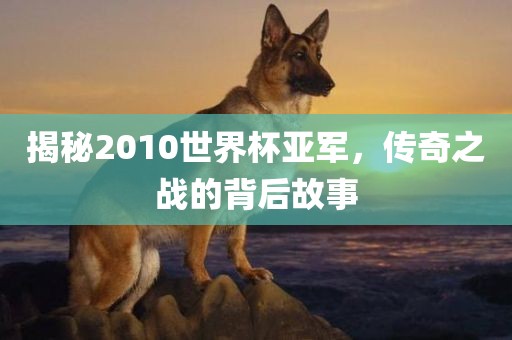 揭秘2010世界杯亚军，传奇之战的背后故事漯河市盈旭机械设备有限公司