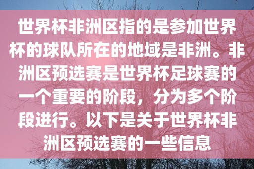 世界杯非洲区指的是参加世界杯的球队所在的地域是非洲。非洲区预选赛是世界杯足球赛的一个重要的阶段，分为多个阶段进行。以下是关于世界杯非洲区预选赛的一些信息