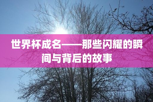 世界杯成名——那些闪耀的瞬间与背后的故事漯河市盈旭机械设备有限公司