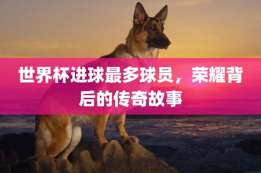 世界杯进球最多球员，荣耀背后的传奇故事