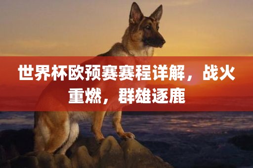 世界杯欧预赛赛程详解，战火重燃漯河市盈旭机械设备有限公司，群雄逐鹿