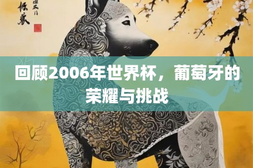 回顾200漯河市盈旭机械设备有限公司6年世界杯，葡萄牙的荣耀与挑战