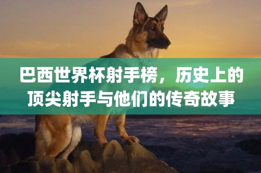巴西世界杯射手榜，历史上的顶尖射手与他们的传奇故事