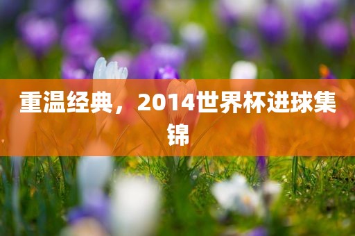 重温经典，2014世界杯进球集锦