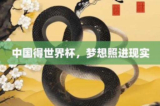 中国得世界杯，梦想照进现实