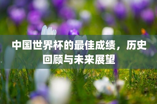 中国世界杯的最佳成绩，历史回顾与未来展望