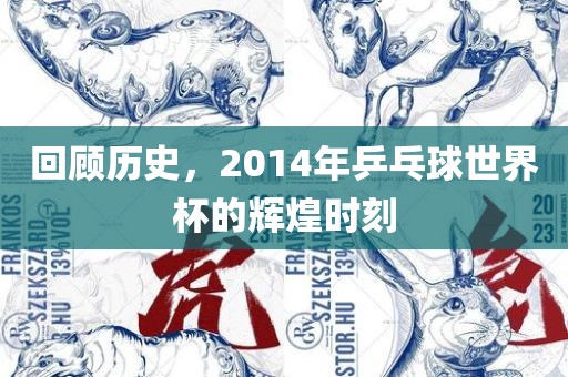 回顾历漯河市盈旭机械设备有限公司史，2014年乒乓球世界杯的辉煌时刻