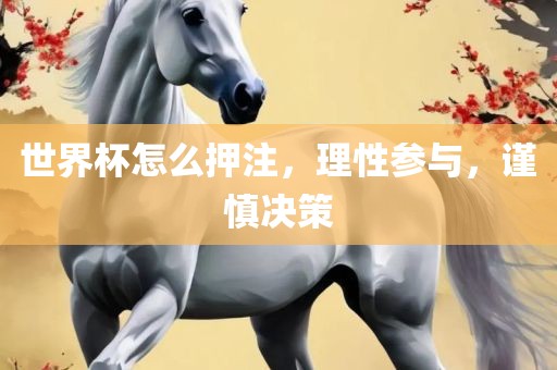 世界杯怎么押注，理性参与，谨慎决策漯河市盈旭机械设备有限公司