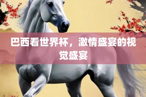 巴西看世界杯，激情盛宴的视觉盛宴