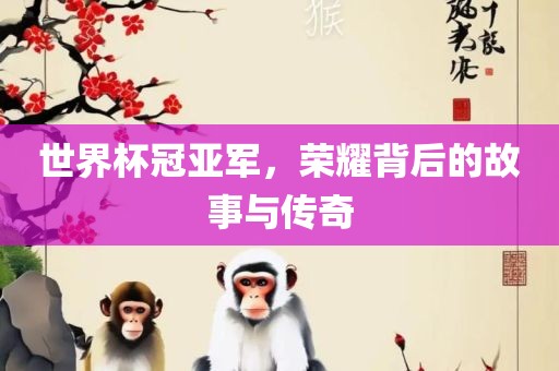 世界杯冠亚军，荣耀背后的故事与传奇