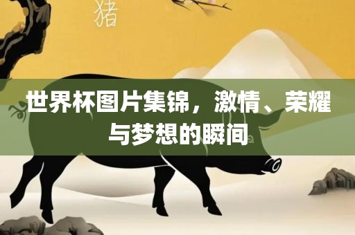 世界杯图片集锦，激情、荣耀与梦想的瞬间漯河市盈旭机械设备有限公司