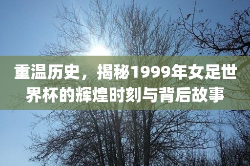 重温历史，揭秘1999年女足世界杯的辉煌时刻与背后故事