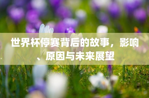 影响与未来展望