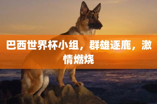 巴西世界杯小组，群雄逐鹿，激情燃烧漯河市盈旭机械设备有限公司