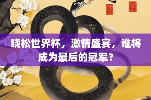 晓松世界杯，激情盛宴，谁将成为最后的冠军？