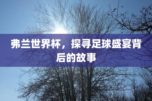 弗兰世界杯，探寻足球盛宴背后的故事漯河市盈旭机械设备有限公司