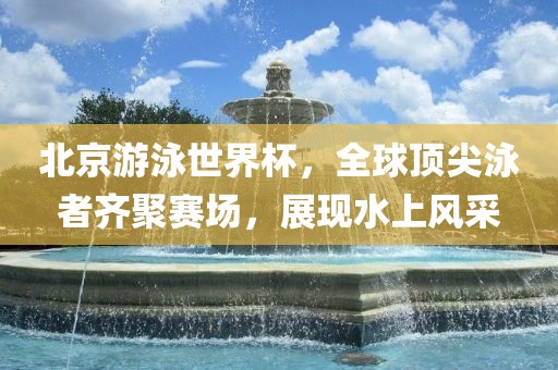 北京游泳世界杯，全球顶尖泳者齐聚赛场，展现水上风采漯河市盈旭机械设备有限公司