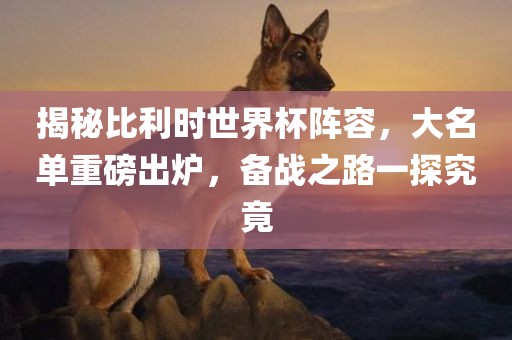 揭秘比利时世界杯阵容，大名单重磅出炉，备战之路一探究竟