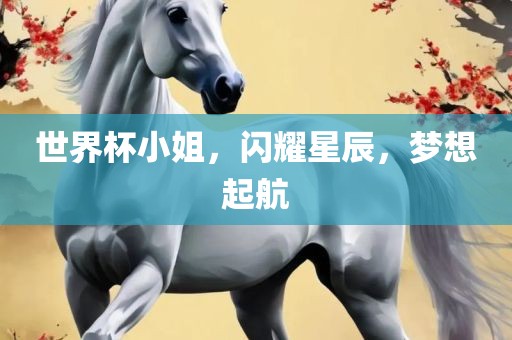 世界杯小姐，闪耀星辰，梦想起航