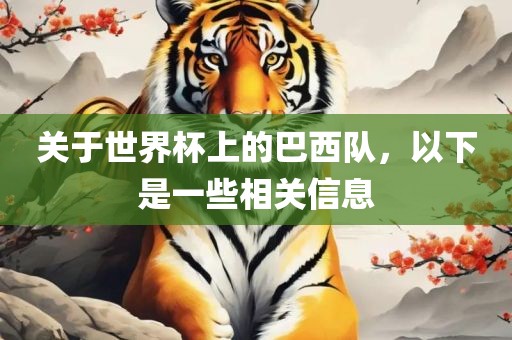 关于世界杯上的巴西队，以下是一些相关信息