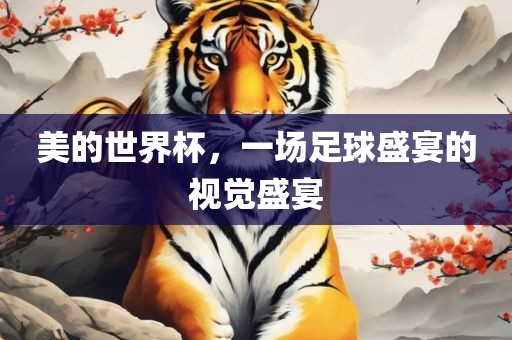 美的世界杯，一场足球盛宴的视觉盛宴